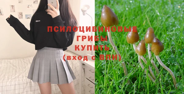 стафф Нягань