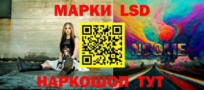 стафф Лесосибирск