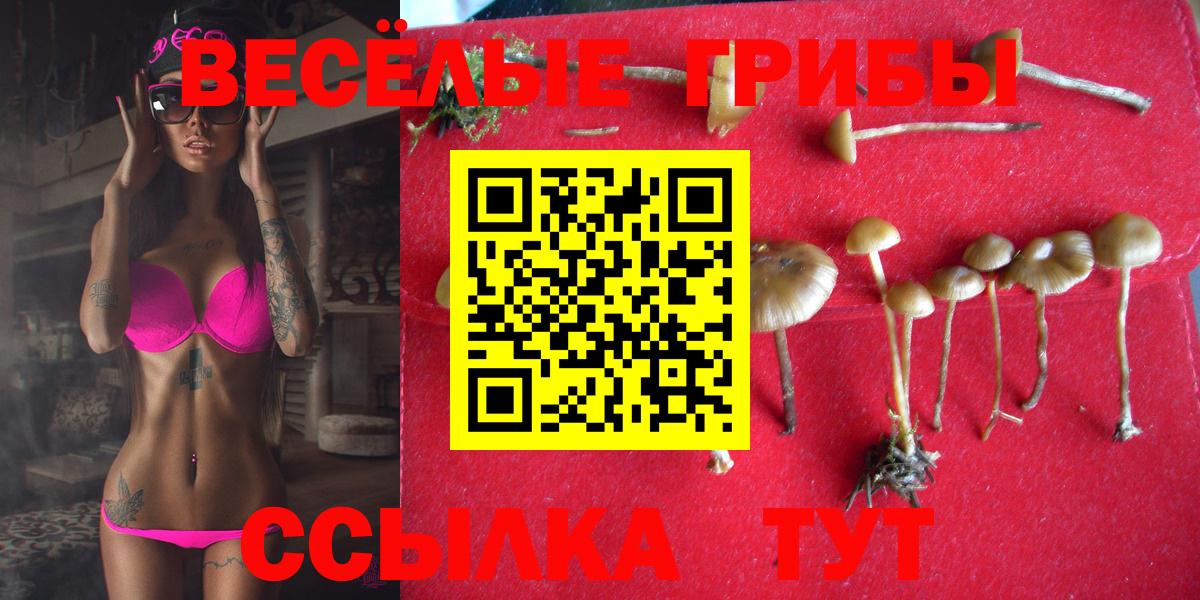 Псилоцибиновые грибы мухоморы Грозный
