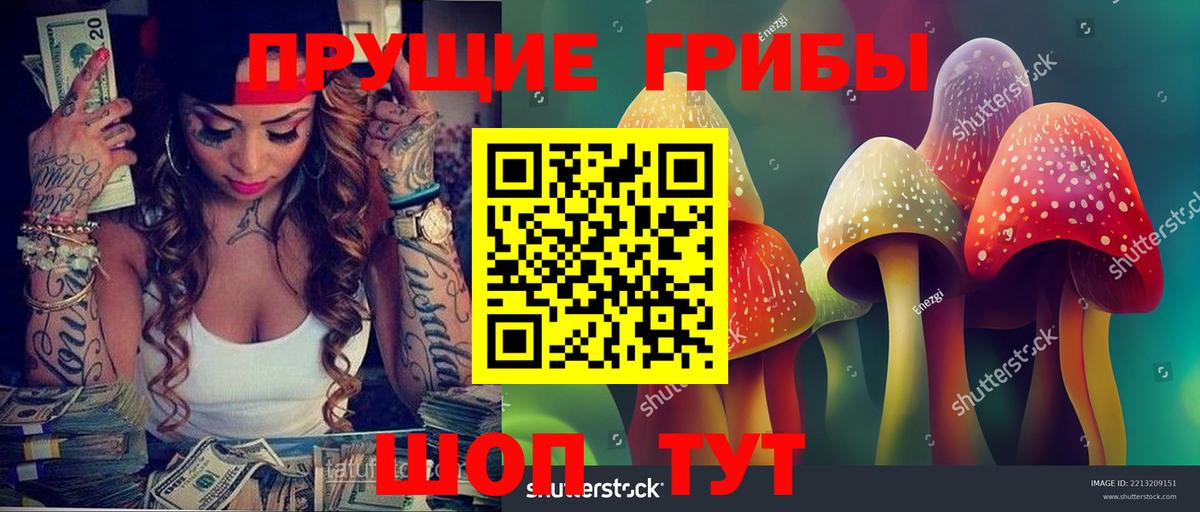 Галлюциногенные грибы GOLDEN TEACHER  Псилоцибиновые грибы Magic Shrooms  Вход с VPN  Грозный 